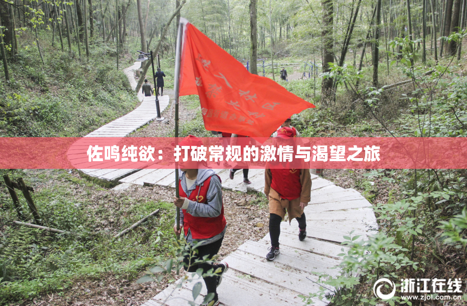 佐鸣纯欲：打破常规的激情与渴望之旅