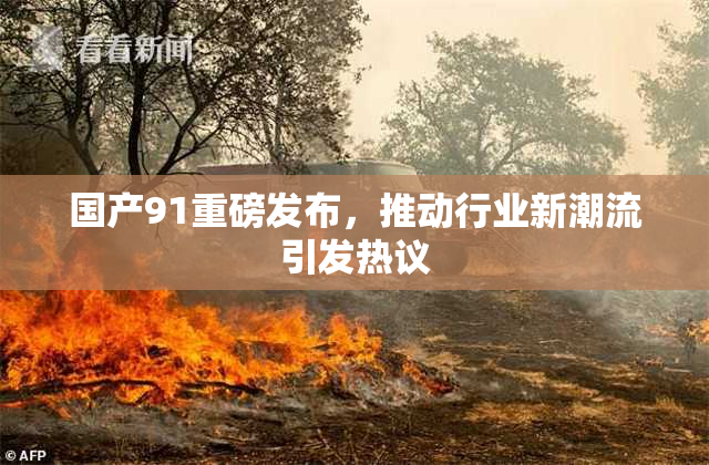 国产91重磅发布，推动行业新潮流引发热议