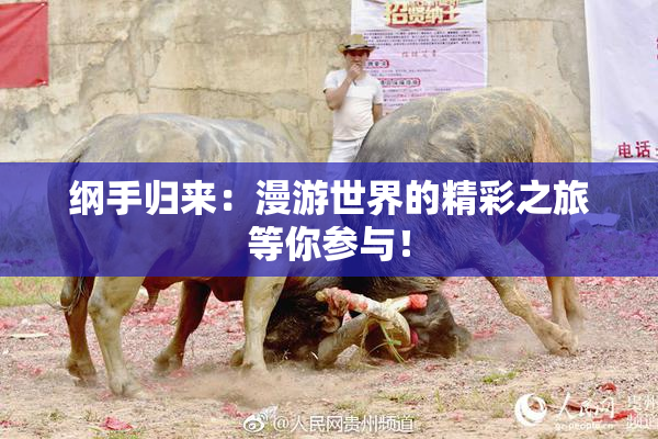 纲手归来：漫游世界的精彩之旅等你参与！