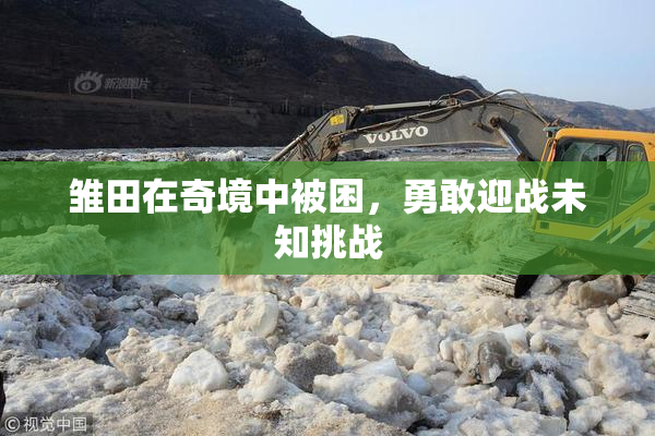 雏田在奇境中被困，勇敢迎战未知挑战