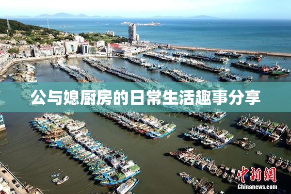 公与媳厨房的日常生活趣事分享