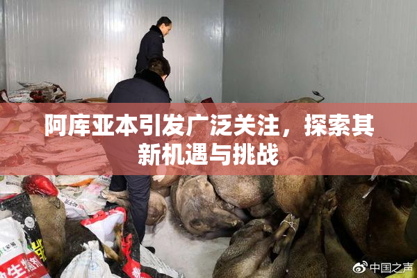 阿库亚本引发广泛关注，探索其新机遇与挑战
