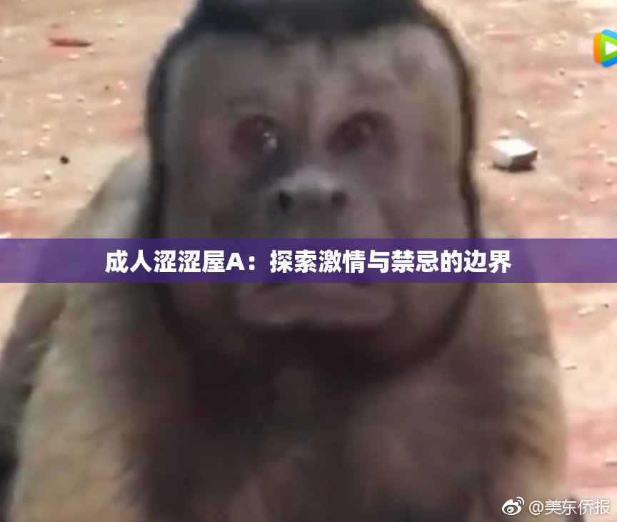 成人涩涩屋A：探索激情与禁忌的边界