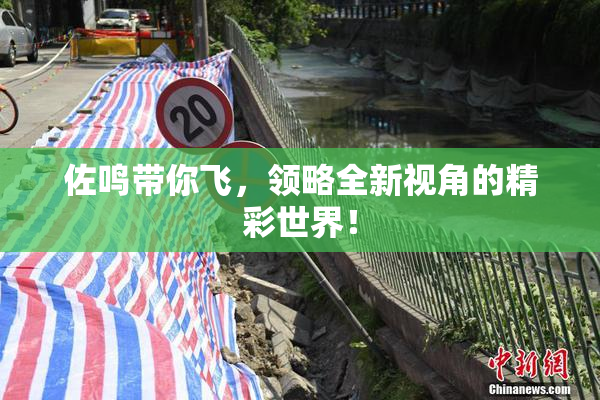 佐鸣带你飞，领略全新视角的精彩世界！
