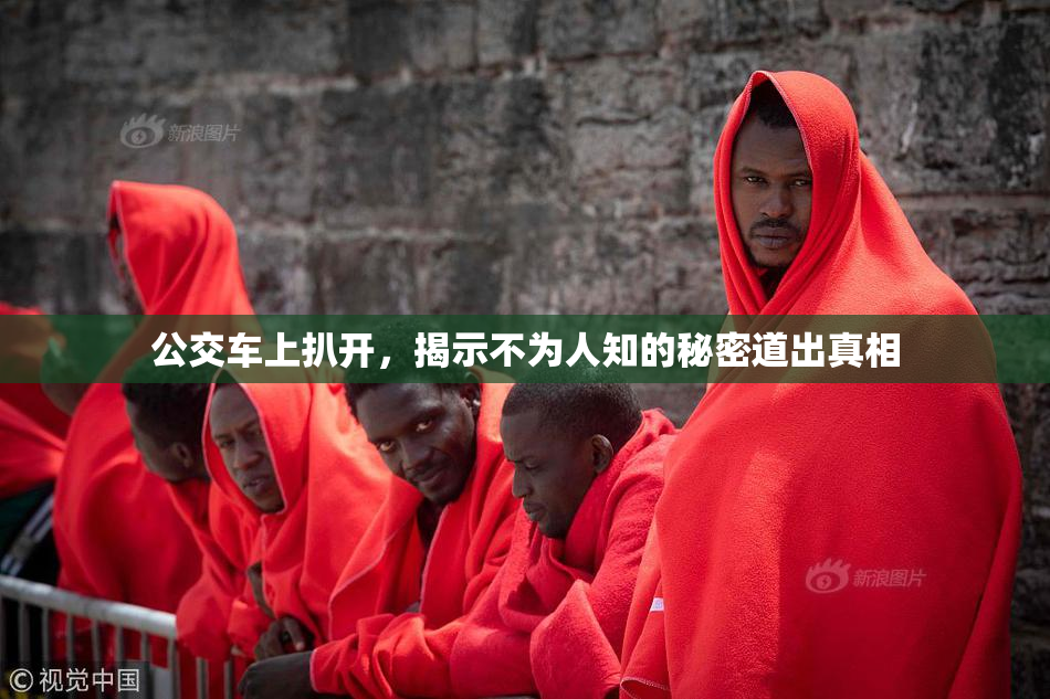 公交车上扒开，揭示不为人知的秘密道出真相