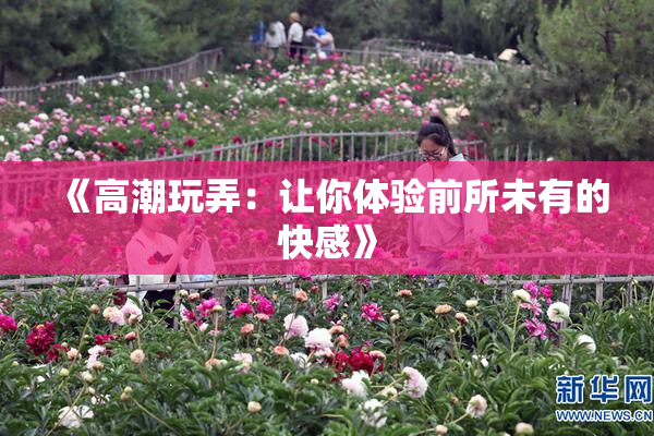 《高潮玩弄：让你体验前所未有的快感》