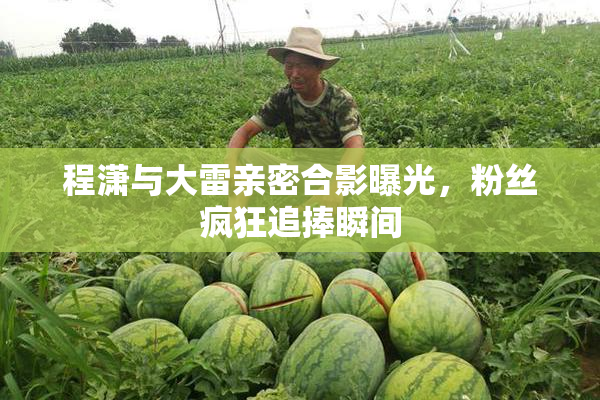 程潇与大雷亲密合影曝光，粉丝疯狂追捧瞬间