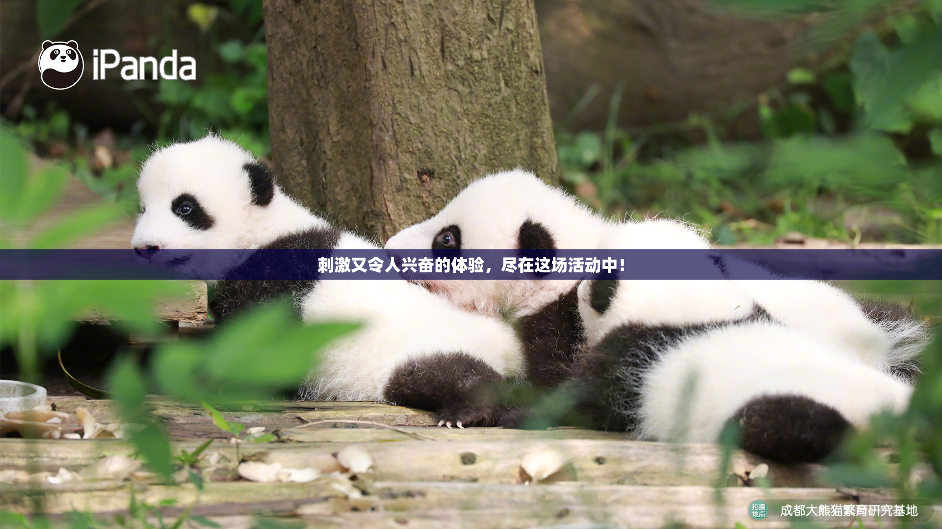 刺激又令人兴奋的体验，尽在这场活动中！