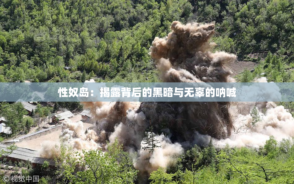 性奴岛：揭露背后的黑暗与无辜的呐喊