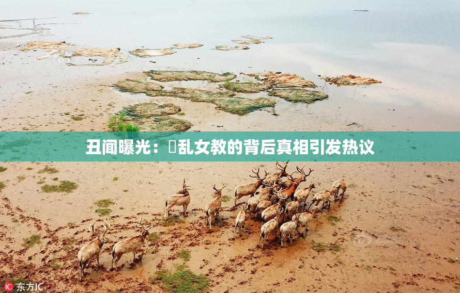 丑闻曝光：婬乱女教的背后真相引发热议