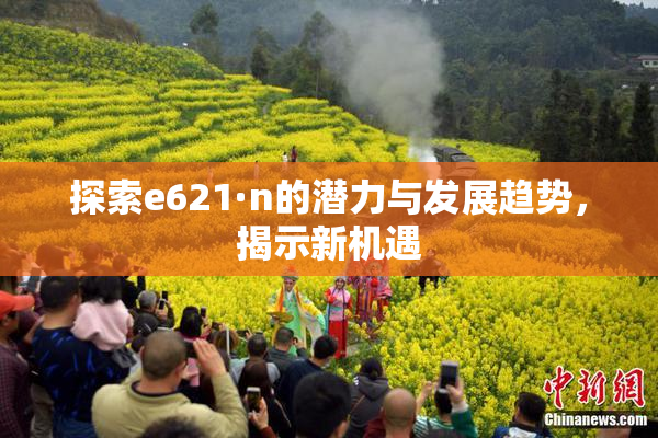 探索e621·n的潜力与发展趋势，揭示新机遇