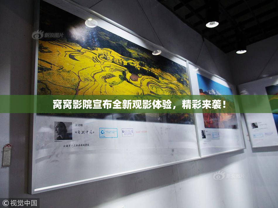 窝窝影院宣布全新观影体验，精彩来袭！