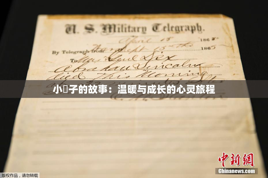 小峓子的故事：温暖与成长的心灵旅程