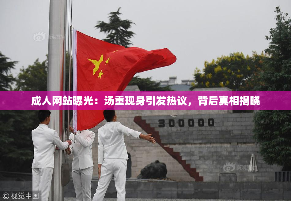成人网站曝光：汤重现身引发热议，背后真相揭晓