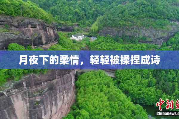 月夜下的柔情，轻轻被揉捏成诗