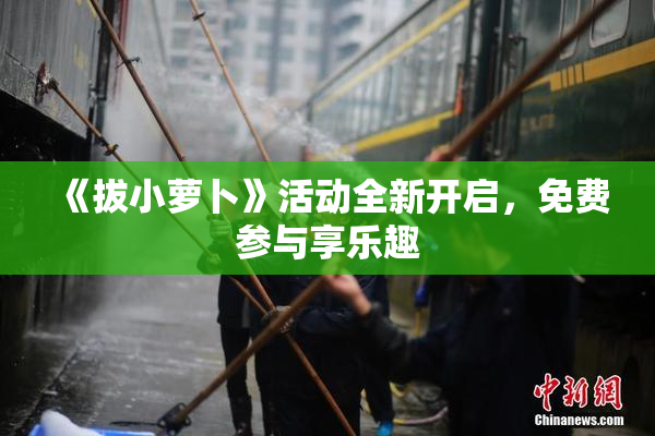 《拔小萝卜》活动全新开启，免费参与享乐趣
