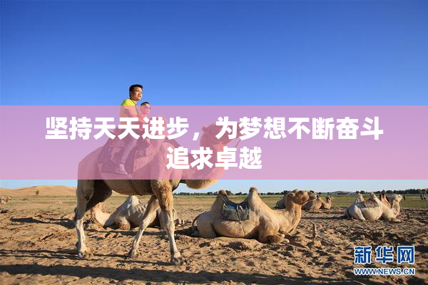 坚持天天进步，为梦想不断奋斗追求卓越