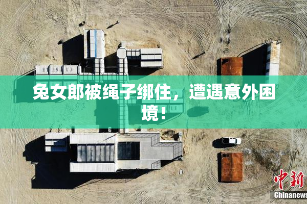 兔女郎被绳子绑住，遭遇意外困境！