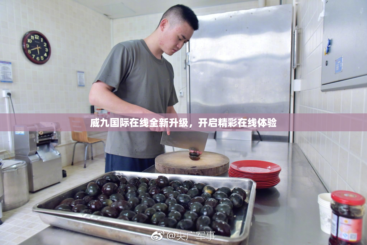 威九国际在线全新升级，开启精彩在线体验