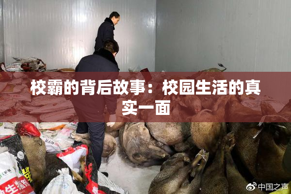 校霸的背后故事：校园生活的真实一面