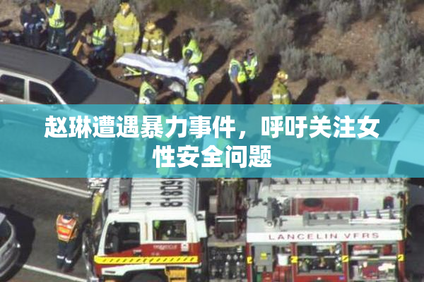 赵琳遭遇暴力事件，呼吁关注女性安全问题