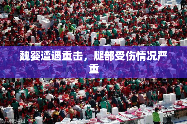 魏婴遭遇重击，腿部受伤情况严重