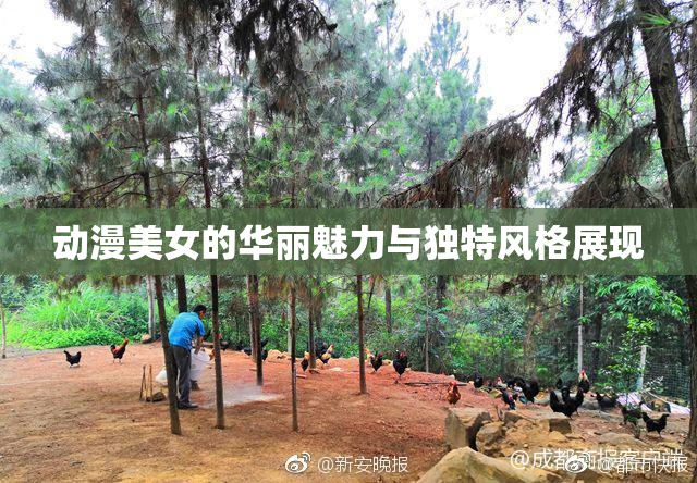 动漫美女的华丽魅力与独特风格展现