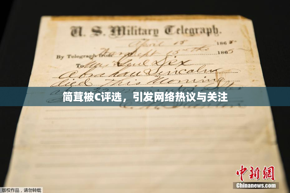简茸被C评选，引发网络热议与关注
