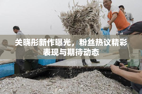 关晓彤新作曝光，粉丝热议精彩表现与期待动态