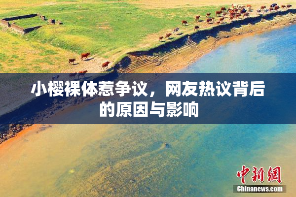 小樱裸体惹争议，网友热议背后的原因与影响