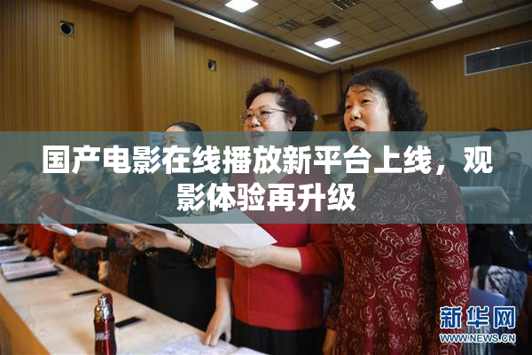 国产电影在线播放新平台上线，观影体验再升级