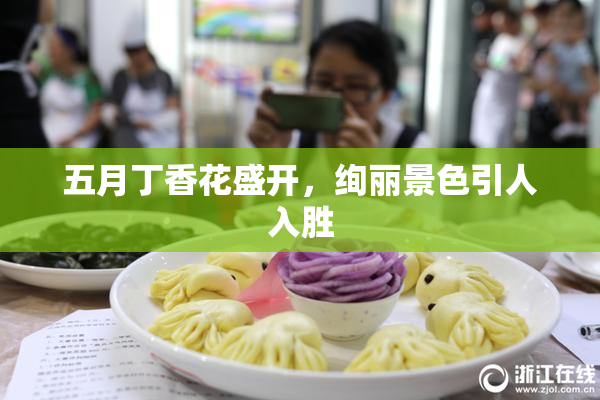 五月丁香花盛开，绚丽景色引人入胜