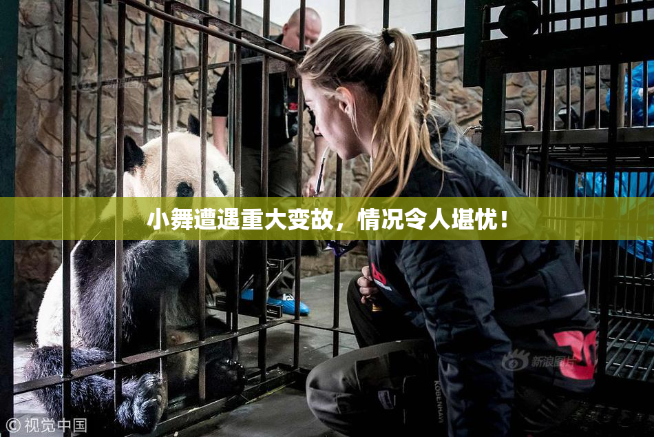 小舞遭遇重大变故，情况令人堪忧！