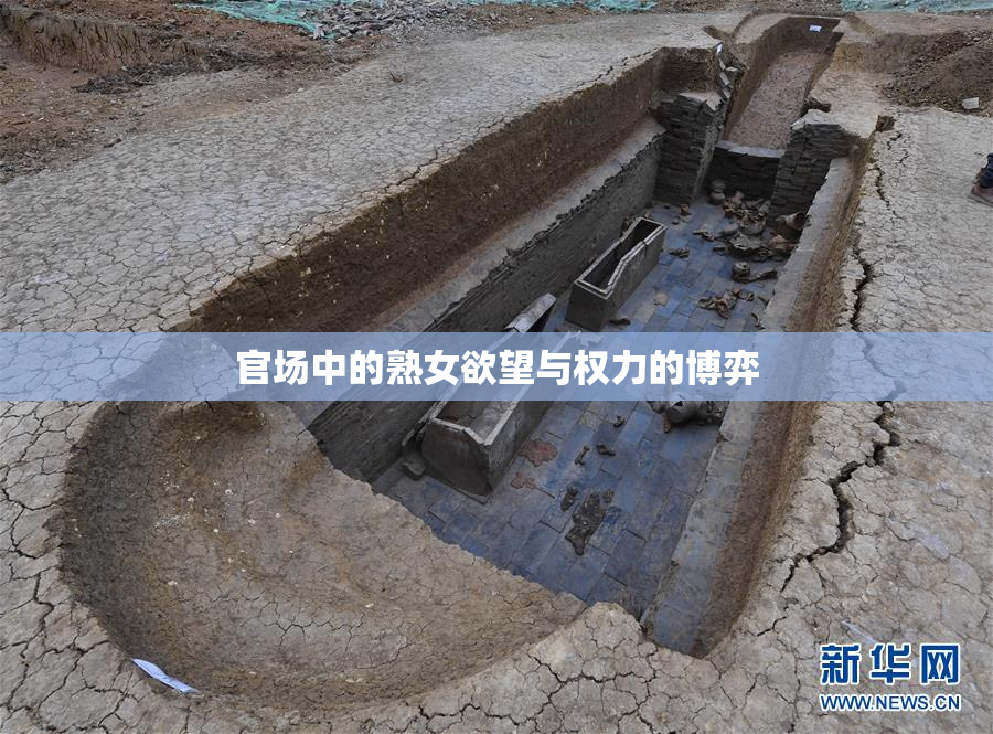 官场中的熟女欲望与权力的博弈
