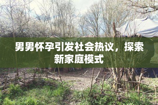 男男怀孕引发社会热议，探索新家庭模式
