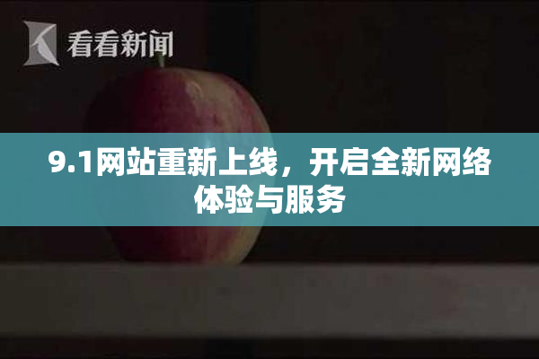 9.1网站重新上线，开启全新网络体验与服务