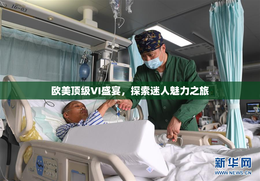 欧美顶级VI盛宴，探索迷人魅力之旅