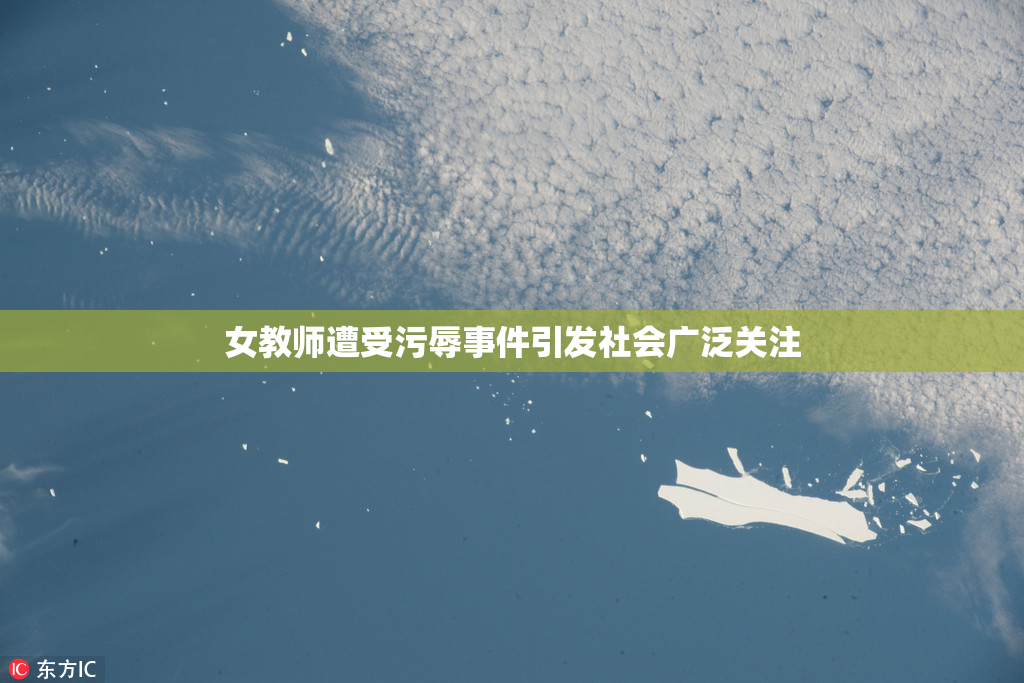 女教师遭受污辱事件引发社会广泛关注