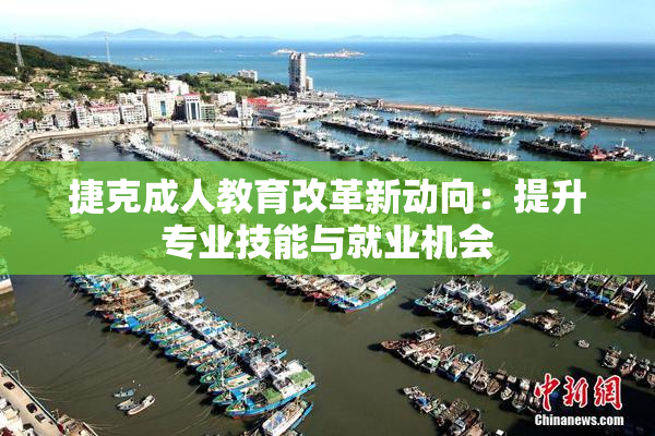 捷克成人教育改革新动向：提升专业技能与就业机会
