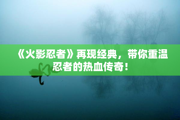 《火影忍者》再现经典，带你重温忍者的热血传奇！