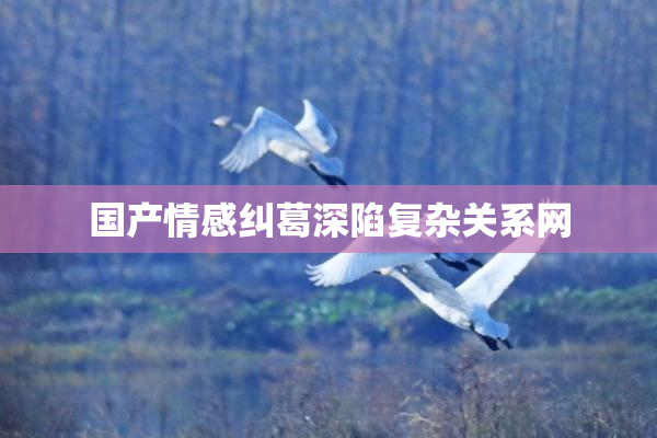 国产情感纠葛深陷复杂关系网
