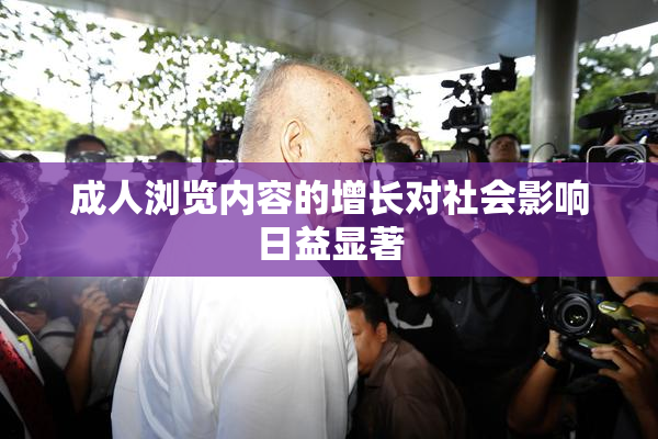 成人浏览内容的增长对社会影响日益显著