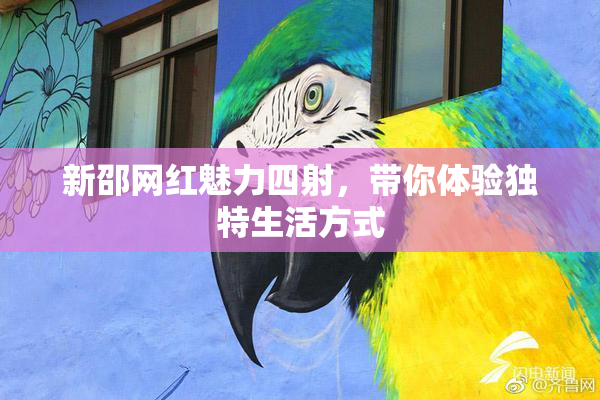 新邵网红魅力四射，带你体验独特生活方式