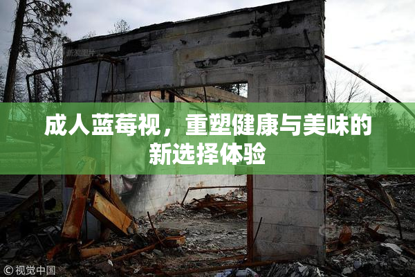 成人蓝莓视，重塑健康与美味的新选择体验