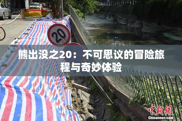 熊出没之20：不可思议的冒险旅程与奇妙体验