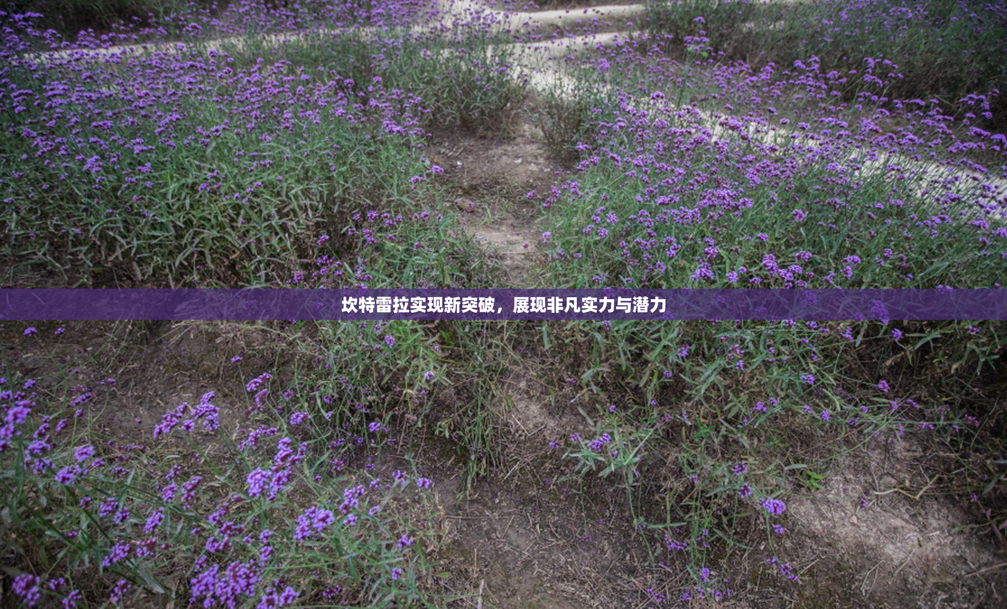 坎特雷拉实现新突破，展现非凡实力与潜力