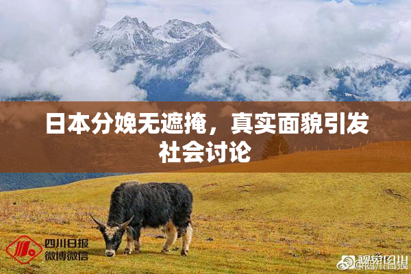 日本分娩无遮掩，真实面貌引发社会讨论