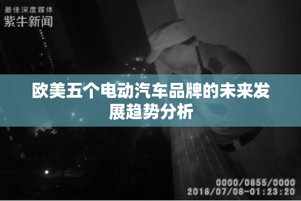 欧美五个电动汽车品牌的未来发展趋势分析