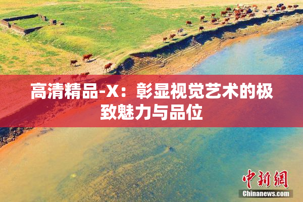 高清精品-X：彰显视觉艺术的极致魅力与品位