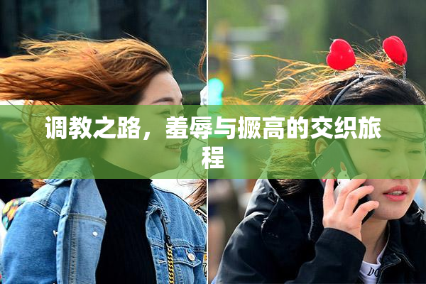 调教之路，羞辱与撅高的交织旅程